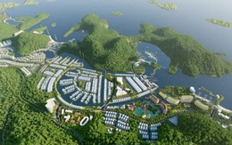 Vinaconex không còn là công ty mẹ của chủ đầu tư dự án Cát Bà Amatina