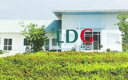 LDG tiếp tục giải trình việc cổ phiếu tăng trần 5 phiên liên tiếp