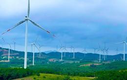 Dự án điện gió có tiềm năng, một doanh nghiệp quân đội đề xuất nâng quy mô lên hơn 310 triệu USD