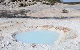 “Hồ sữa xanh” đột ngột xuất hiện ở Mỹ, điều gì đã xảy ra?