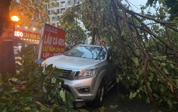 Chùm ảnh: Đường phố Hà Nội tan hoang sau cơn giông kinh hoàng, cây xanh bật gốc và gãy đổ hàng loạt