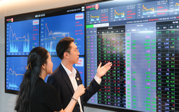 Rồng Việt công bố KQKD Quý 2/2025: Ổn định nền tảng, vững vàng tương lai Rồng Việt công bố KQKD Quý 2/2025: Ổn định nền tảng, vững vàng tương lai