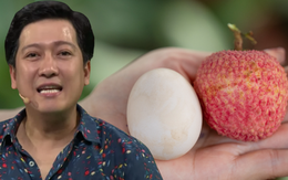 Bắc Ninh chính thức không còn là tỉnh nhỏ nhất Việt Nam sau 1 đêm ngủ dậy: Cái tên thay thế rất đặc biệt!