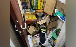 Kiểm tra bí mật 1 cửa hàng, phát hiện lượng lớn hàng giả, hàng bất hợp pháp dưới toilet: Tòa án vào cuộc