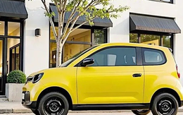 Tỷ phú Phạm Nhật Vượng bất ngờ 'chơi lớn': Minio Green nâng tầm chạy lên 210 km, sạc nhanh 30 phút - Khách hàng không tốn 1 xu