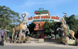 Một khu du lịch lớn ở Đồng Nai bị buộc nộp lại 154 tỉ đồng thu lợi bất hợp pháp