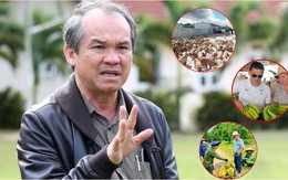 Bầu Đức “nói không” với bất động sản ngàn tỷ, chọn nuôi heo và 2 loại cây này để trả sạch nợ Bầu Đức “nói không” với bất động sản ngàn tỷ, chọn nuôi heo và 2 loại cây này để trả sạch nợ