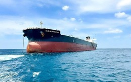 Tỷ phú Trần Đình Long khai thác tàu hàng rời lớn nhất từ trước tới nay, tải trọng 110.000 DWT Tỷ phú Trần Đình Long khai thác tàu hàng rời lớn nhất từ trước tới nay, tải trọng 110.000 DWT