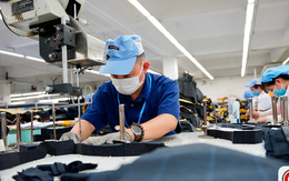 Kỷ lục chưa từng có: Hơn 24.000 doanh nghiệp thành lập mới chỉ trong tháng 6