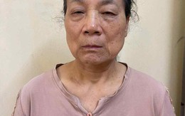 Bắt Mai Thị Hạ về hành vi lợi dụng quyền tự do dân chủ