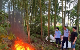 Phạt cơ sở kinh doanh gần 1,5 tạ thực phẩm đông lạnh không rõ nguồn gốc