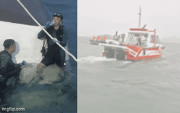 Vụ lật tàu ở Hạ Long: Thợ lặn đau lòng kể 3 giờ lục tìm từng khoang tàu, chỉ lo thi thể bị trôi dạt đi xa