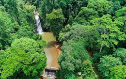 Việt Nam sẽ có sân bay mới, đặt tại nơi 9 ngày thu 80 tỷ đồng từ du lịch