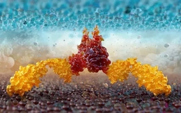 Trung Quốc tìm ra liệu pháp chữa ung thư giá rẻ bằng cách tiêm trực tiếp