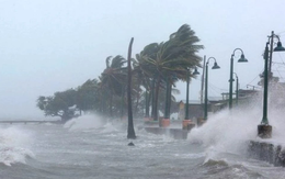 Tin bão khẩn cấp: Bão số 3 giật cấp 15 cách Quảng Ninh khoảng 630km, 6 tỉnh thành sau đặc biệt chú ý