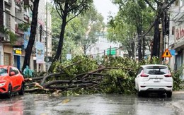 Hình ảnh và clip gió "thổi bay” cây cối, mái nhà ở Đồng Nai, nhiều người hoảng loạn