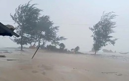 Tin bão khẩn cấp: Bão số 3 giật cấp 14, cách Quảng Ninh - Hải Phòng khoảng 480km, cảnh báo mưa cực lớn