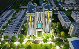 Một công ty xây dựng tăng 71% lợi nhuận nhờ BĐS và Khu công nghiệp, EPS hơn 7.000 đồng, lãi 80% từ cổ phiếu 'họ hàng'