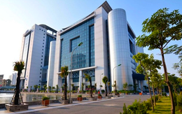 ĐỈNH: Nhìn tỷ lệ sinh viên NEU ra trường có việc làm mới nhất, phụ huynh quyết tâm - "Phải cho con học trường này"