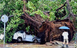 Càn quét Trung Quốc, bão Wipha suy yếu thành áp thấp nhiệt đới nhưng sẽ mạnh lên trước khi tới Việt Nam