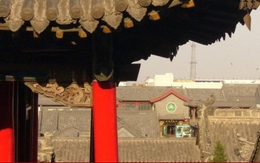 'Nhường' em út nuôi mẹ bị liệt, khi nhà giải tỏa lại kiện đòi chia tiền đền bù