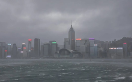 Những hình ảnh đáng sợ khi bão Wipha càn quét Trung Quốc: Cuồng phong khiến cây đổ rạp, đường ngập lụt, hàng trăm người dân sơ tán