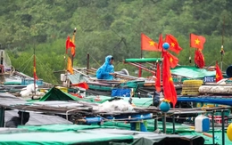 Bão số 3 áp sát: Quảng Ninh di dời gần 10.000 người, đưa 14.000 du khách về bờ
