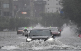 Các nước cảnh báo về ảnh hưởng của bão Wipha (bão số 3)