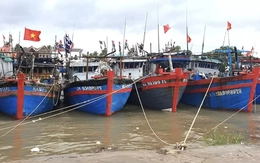 Bão số 3 tiến gần đất liền, Bạch Long Vĩ gió giật cấp 10