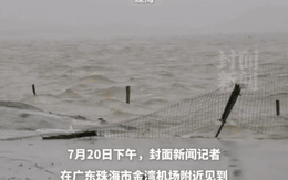 Đây là mức độ tàn phá của bão Wipha tại Trung Quốc: Mưa xối xả, cây bật gốc và cảnh báo nguy cơ tiếp diễn