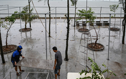 Ghi nhận trước giờ bão đổ bộ: Một tỉnh đình hoãn các cuộc họp chưa cần thiết, dân gia cố nhà cửa, lực lượng túc trực 24/24