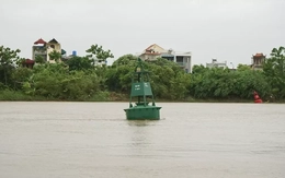 Mực nước sông Trà Lý, sông Hồng dâng cao từng giờ, người dân Hưng Yên đắp bờ chống ngập
