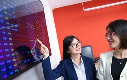 Bất ngờ cổ phiếu doanh nghiệp của nữ tỷ phú USD duy nhất Việt Nam