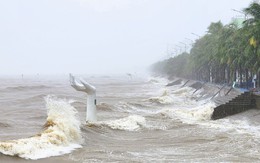 VIDEO: Những bàn tay khổng lồ ở biển Hải Tiến "chới với" trong mưa bão số 3 Wipha