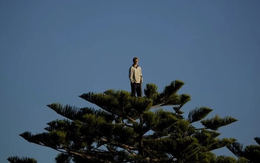 "Vào hàng thì sợ đu đỉnh, đứng ngoài thì tiếc nhịp sóng", cơ hội nào cho nhà đầu tư đang "lỡ tàu"?