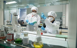 Imexpharm công bố kết quả tài chính 6 tháng đầu năm: EBITDA tăng 21%