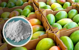 3 loại trái cây tế bào ung thư rất yêu thích, có "bán rẻ như cho" cũng đừng động vào dù chỉ 1 lần!