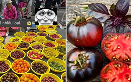 Ngồi giữa chợ bán hơn 50 loại cà chua, người phụ nữ trung niên gây bão mạng