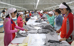 Campuchia đạt bước tiến lớn với Nhật Bản trong một lĩnh vực nhưng vẫn xếp sau Việt nam