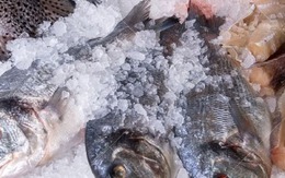 Hôm nay tôi được khai sáng cách rã đông CÁ mà KHÔNG cần ngâm nước lã