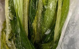 5 thực phẩm “nhìn tươi ngon” nhưng vi khuẩn nhiều khủng khiếp, cảnh báo người thân vứt ngay kẻo rước bệnh!