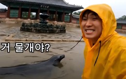 Video AI giả cảnh lũ lụt tại cung điện gây lo ngại về deepfake ở Hàn Quốc