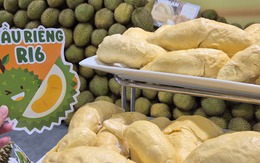 Khởi sắc chưa đầy 1 tháng, giá sầu riêng lại đảo chiều đi xuống