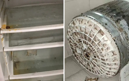 Sự thật mất lòng: 5 món đồ quen thuộc tưởng sạch nhưng KHÔNG, bẩn nhất là số 4 ai cũng dùng Sự thật mất lòng: 5 món đồ quen thuộc tưởng sạch nhưng KHÔNG, bẩn nhất là số 4 ai cũng dùng