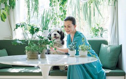 7 thay đổi nhỏ không ai để ý – nhưng người giàu thật sự đều âm thầm làm