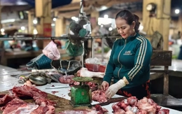 Thịt lợn ế chưa từng có
