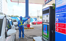 PVOIL và Petrolimex “chốt thí điểm” bán xăng E10 tại 3 thành phố lớn từ ngày 1/8
