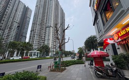 Đâu là tâm điểm tăng giá của thị trường chung cư?