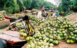 Khai phá thị trường mới, tiếp tục đưa trái cây Việt lên kệ hàng quốc tế