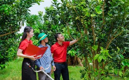 Agribank tích cực hỗ trợ hộ kinh doanh chuyển đổi thành doanh nghiệp